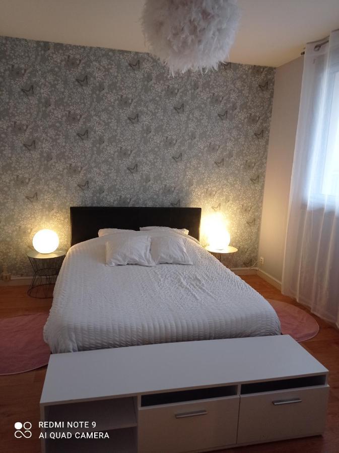 Le Cosy Lägenhet Vichy Exteriör bild